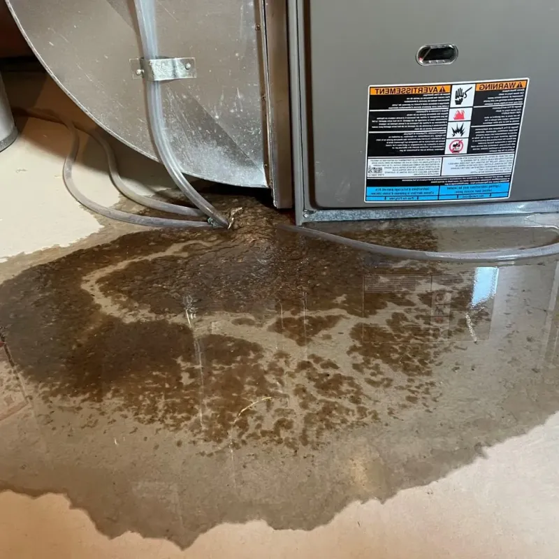 Pipe Burst and Leak Restoration in Chesterfield, MO